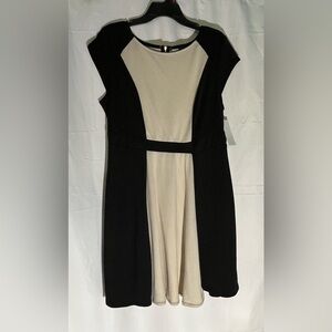 My Michelle Black and Cream Mini Dress